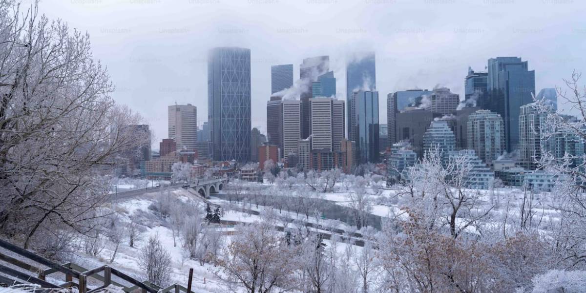 First Alberta AAIP Draw of February 2026 Issues 915 PR Invitations