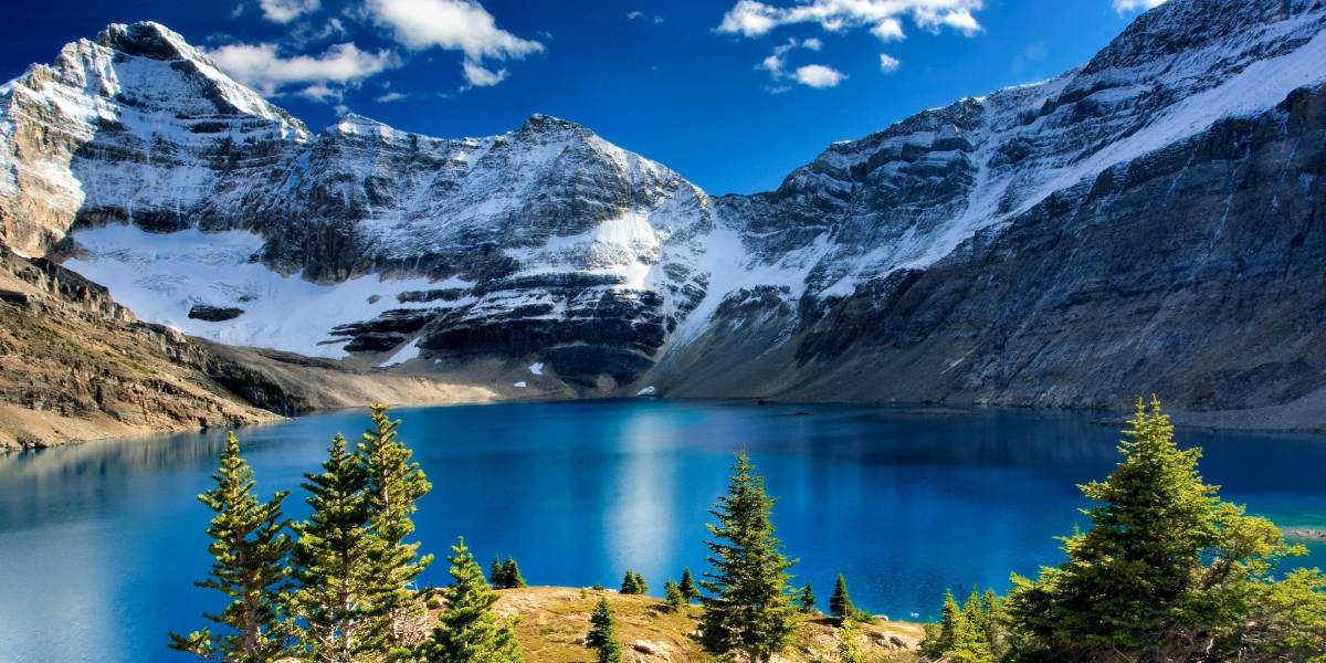 In-Demand Jobs in British Columbia Paying Over $50/Hour | Updated List 2026